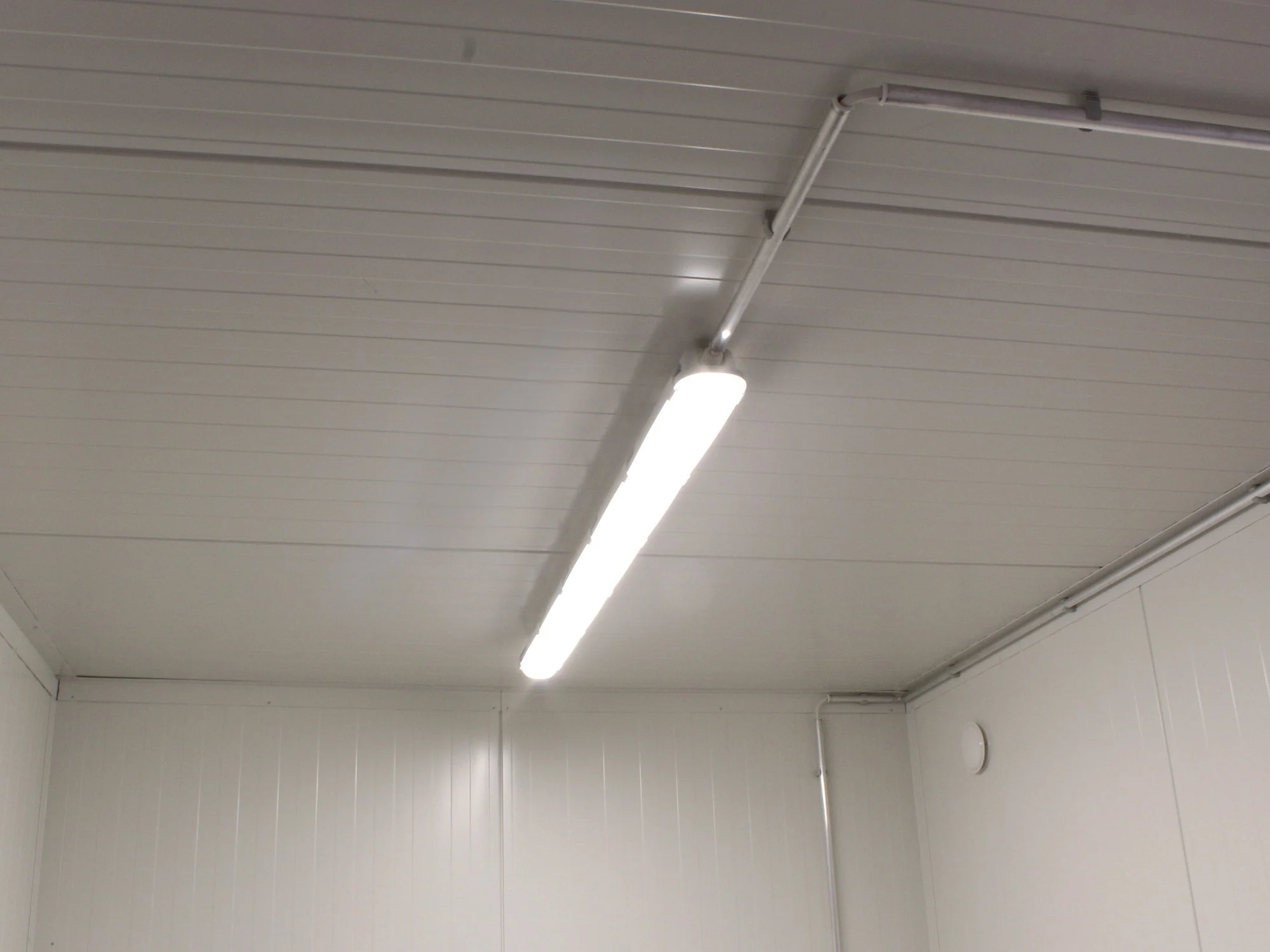 Insulated 20′ Standard - Image 2